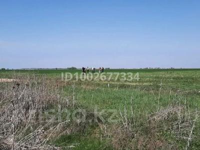 Участок · 200 га, Конаев за 62 млн 〒