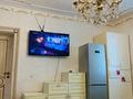 1-комнатная квартира, 25 м², 2/2 этаж посуточно, Туркменская — Назарбаева за 9 000 〒 в Алматы, Алмалинский р-н — фото 3
