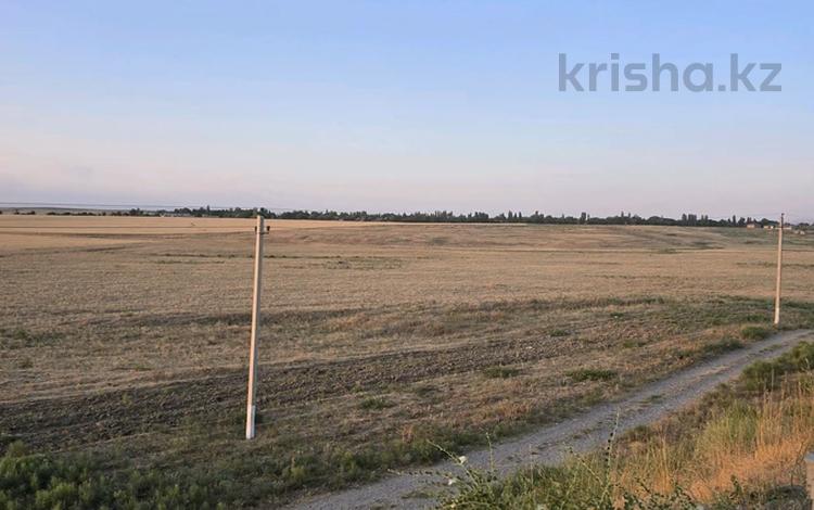 Участок · 3.1 га, Трасса Европа - Китай 111 за 85 млн ₸ в Касымбек датка — фото 2