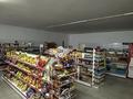 Бизнес · 580 м² за 45 млн ₸ в Курыке — фото 8