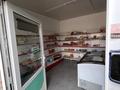 Отдельный дом · 4 комнаты · 143 м² · 10 сот., Карасай батыр 126 за 40 млн ₸ в Береке — фото 6