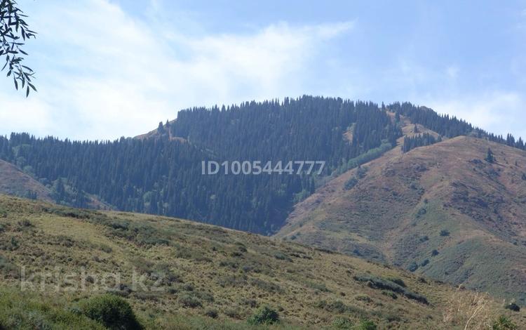 Участок · 30 га, Коперника 106 за 60 млн 〒 в  — фото 2