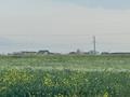 Участок · 6 соток, Нур Плаза 98 за ~ 1.5 млн ₸ в Исаеве — фото 4