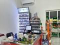 Магазины и бутики • 147 м² за 120 млн 〒 в Алматы, Наурызбайский р-н — фото 12