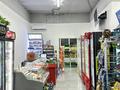 Магазины и бутики • 147 м² за 120 млн 〒 в Алматы, Наурызбайский р-н — фото 6