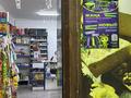 Готовый Бизнес Продуктовый магазин · 80 м² за 12.5 млн ₸ в Алматы, Медеуский р-н — фото 5