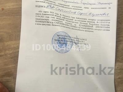 Жер телімі · 10 га, Каратурык, бағасы: 10 млн ₸