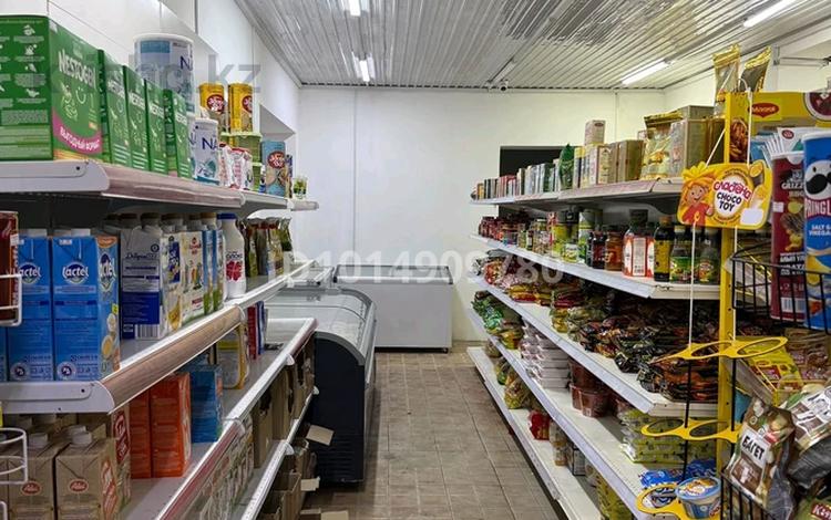 Магазины и бутики · 250 м² за 50 млн ₸ в Кольди — фото 2