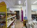 Магазины и бутики · 250 м² за 50 млн ₸ в Кольди — фото 2