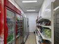 Магазины и бутики · 250 м² за 50 млн ₸ в Кольди — фото 4