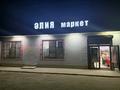 Магазины и бутики · 250 м² за 50 млн ₸ в Кольди — фото 8