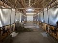 Сельское хозяйство · 20000 м² за 2 млрд ₸ в Таскешу — фото 4