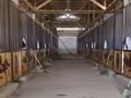 Сельское хозяйство · 20000 м² за 2 млрд ₸ в Таскешу — фото 5