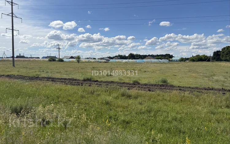 Жер телімі · 1 га, Бишкуль (Бескөл), бағасы: 15 млн ₸ в Бишкуле (Бесколь) — фото 2