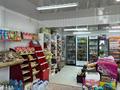 Жеке үй · 5 бөлме · 210 м² · 10.5 жүзд., Нокина 10, бағасы: 40 млн ₸ в Актобе, мкр. Курмыш — фото 4