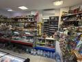 Действующий бизнес продуктовый магазин · 94 м² за 12 млн ₸ в Астане, Алматы р-н — фото 5