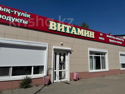 Еркін, дүкендер мен бутиктер · 245.3 м², бағасы: 190 млн ₸ в Костанае