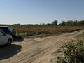 Участок · 6 соток, Саржайлау — Цон за 12 млн ₸ в Каскелене — фото 10