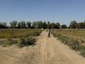 Участок · 6 соток, Саржайлау — Цон за 12 млн ₸ в Каскелене — фото 12