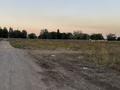 Участок · 6 соток, Саржайлау — Цон за 12 млн ₸ в Каскелене — фото 3