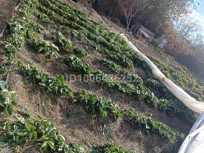 Дача · 3 комнаты · 60 м² · 8 сот., Яблочная 60 — Спутник за 1.5 млн 〒 в Сатпаев