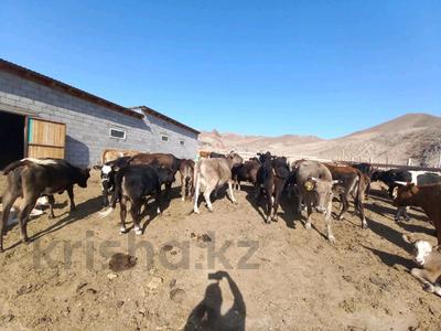 Участок · 1500 га, Тамгалы тас за ~ 104.5 млн 〒 в Конаеве