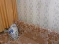 1-бөлмелі пәтер · 14 м² · 1/4 қабат, №3 ш/а. 39а, бағасы: 10.9 млн ₸ в Алматы, Ауэзовский р-н