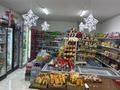 Магазины и бутики, салоны красоты · 99.2 м² за 45 млн ₸ в Туркестане — фото 6
