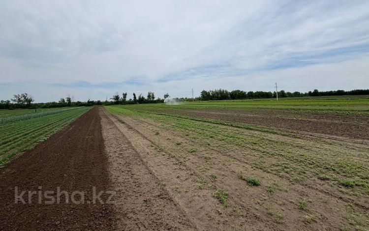 Участок · 8.3 сотки, 9-й микрорайон, Кунай 111 за 5 млн ₸ в Костанае — фото 2