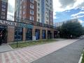 Свободное назначение · 213 м² за 2.5 млн ₸ в Астане, Есильский р-н