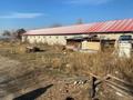 Ауыл шаруашылығы · 3300 м², бағасы: 625 млн ₸ в Бельбулаке (Мичурино)