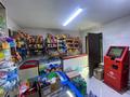 Дүкендер мен бутиктер · 100 м², бағасы: 70 млн ₸ в Усть-Каменогорске — фото 12