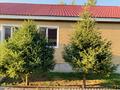 Отдельный дом · 4 комнаты · 120 м² · 10 сот., Кошкарбаева 11 за 37 млн ₸ в Кояндах — фото 17