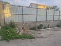 Отдельный дом · 7 комнат · 150 м² · 10 сот., Ладушкина 56 за 37 млн 〒 в Талгаре — фото 6
