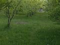 Саяжай · 3 бөлме · 60 м² · 15 жүзд., Мерген ата 17, бағасы: 33 млн ₸ в Каскасу — фото 6