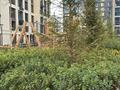 7-бөлмелі пәтер · 300 м² · 7/20 қабат, Бухар жырау 26, бағасы: 440 млн ₸ в Астане, Есильский р-н — фото 11