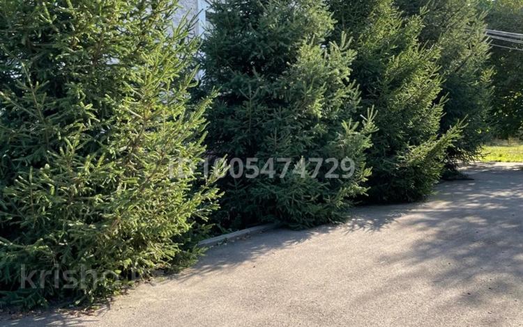 Отдельный дом · 5 комнат · 150 м² · 30 сот., Алиева 69 за 75 млн 〒 в Бельбулаке (Мичурино) — фото 2