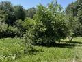 Отдельный дом · 5 комнат · 150 м² · 30 сот., Алиева 69 за 75 млн ₸ в Бельбулаке (Мичурино) — фото 5