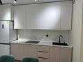 2-комнатная квартира · 70 м² · 9/12 этаж, Сырым батыра 99/3 — Денропарка за 300 000 ₸ в Шымкенте, Аль-Фарабийский р-н — фото 10