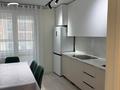 2-комнатная квартира · 70 м² · 9/12 этаж, Сырым батыра 99/3 — Денропарка за 300 000 ₸ в Шымкенте, Аль-Фарабийский р-н — фото 18