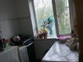 2-комнатная квартира · 59 м² · 4 этаж, мкр Самал, Самал ш/а. 25 — народный банк за 12.3 млн ₸ в Таразе — фото 8