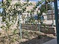 Дача · 3 комнаты · 65 м² · 6 сот., жилой массив Кайнар Булак, Шредера — Дружба за 12.5 млн ₸ в Шымкенте, Абайский р-н — фото 5