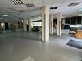 Свободное назначение · 250 м² за 1.3 млн ₸ в Астане, Алматы р-н