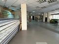 Свободное назначение · 250 м² за 1.3 млн ₸ в Астане, Алматы р-н — фото 6