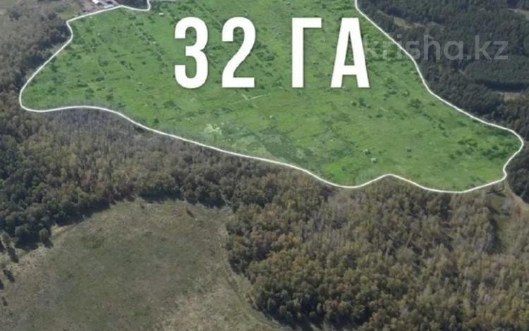 Жер телімі · 32 га, Макинск, бағасы: 60 млн ₸ — фото 39