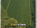 Жер телімі · 32 га, Макинск, бағасы: 60 млн ₸ — фото 26