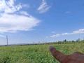 Личное Подсобное Хозяйство (ЛПХ) · 1500 м² за 150 млн ₸ в Талдыкоргане — фото 15
