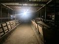 Личное Подсобное Хозяйство (ЛПХ) · 1500 м² за 150 млн ₸ в Талдыкоргане — фото 5