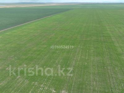 Сельское хозяйство · 1287 м² за ~ 30.9 млн 〒 в 