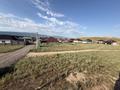 Участок · 16 соток, Теміржол 158 за 11.5 млн ₸ в Узынагаш — фото 6